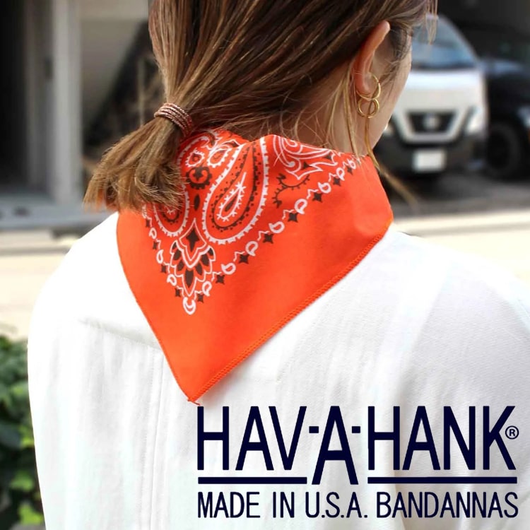 yieldiC[hj̃Vbvj[Xuėp̍"HAV-A-HANK"̃o_iv