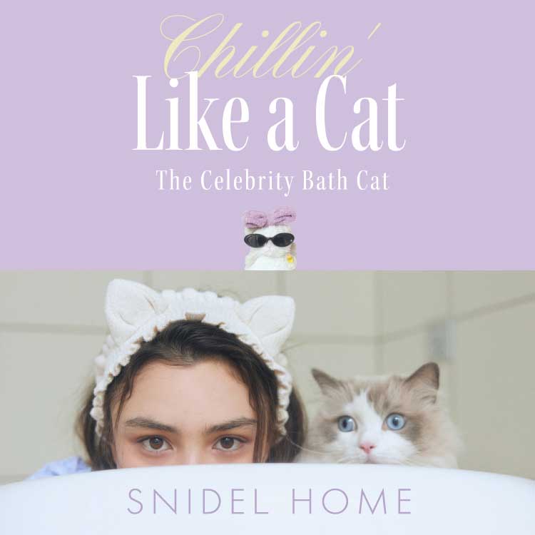 SNIDEL HOME�i�X�i�C�f���z�[���j�̃V���b�v�j���[�X�uSNIDEL HOME Chillin�f Like a Cat�v