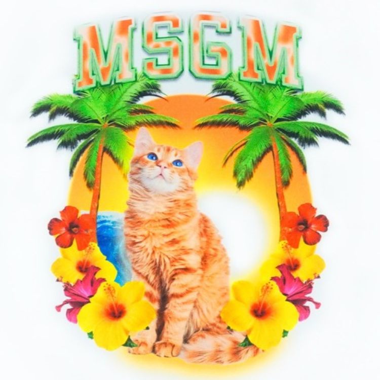 MSGM｜エムエスジーエムのトピックス「【MSGM】猫好き必見！CAT