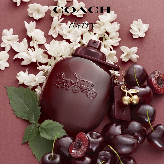 L'ATELIER DES PARFUMS�i���g���G �f �p���t�@���j�̃V���b�v�j���[�X�uCOACH����A�V�ѐS���ӂ��A��M�I�Ő������ꂽ�V��u�R�[�` �`�F���[ �p���t�@���v���o��I�v