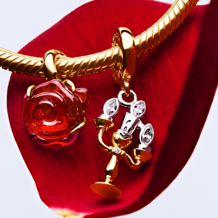 カールじいさん ディズニー ピクサー カールじいさんの空飛ぶ家 チャーム