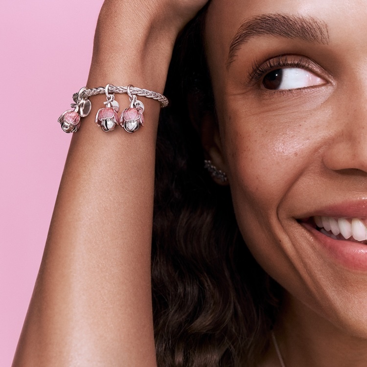 Pandora�i�p���h���j�̃V���b�v�j���[�X�u�ԃ��`�[�t�̃W���G���[�yPandora�z�v