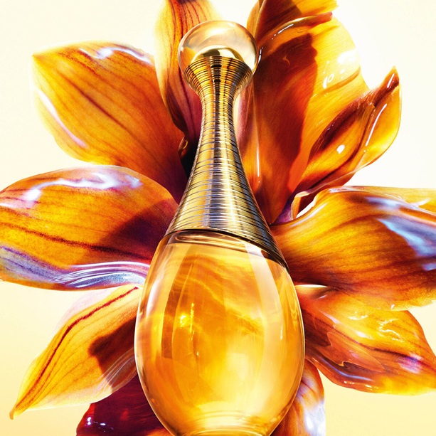 DIOR�i�f�B�I�[���j�̃V���b�v�j���[�X�u�W���h�[�� �C���e���X�a�� �v