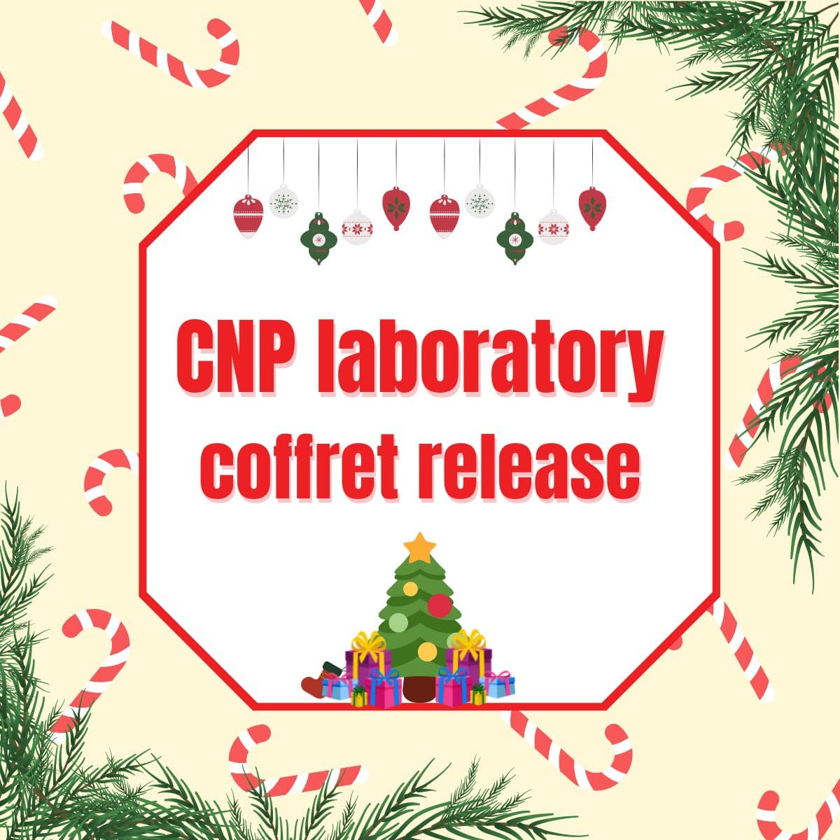 ZOZO限定】CNP HOLIDAY セラム SET（スキンケアキット/ギフトセット）｜CNP Laboratory（シーエヌピー  ラボラトリー）のファッション通販 - ZOZOTOWN