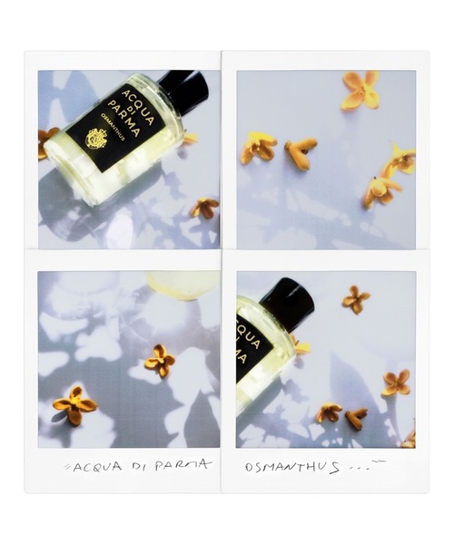 ACQUA DI PARMA OSMANTHUS アクアディパルマ オスマンサス+mu-8.com