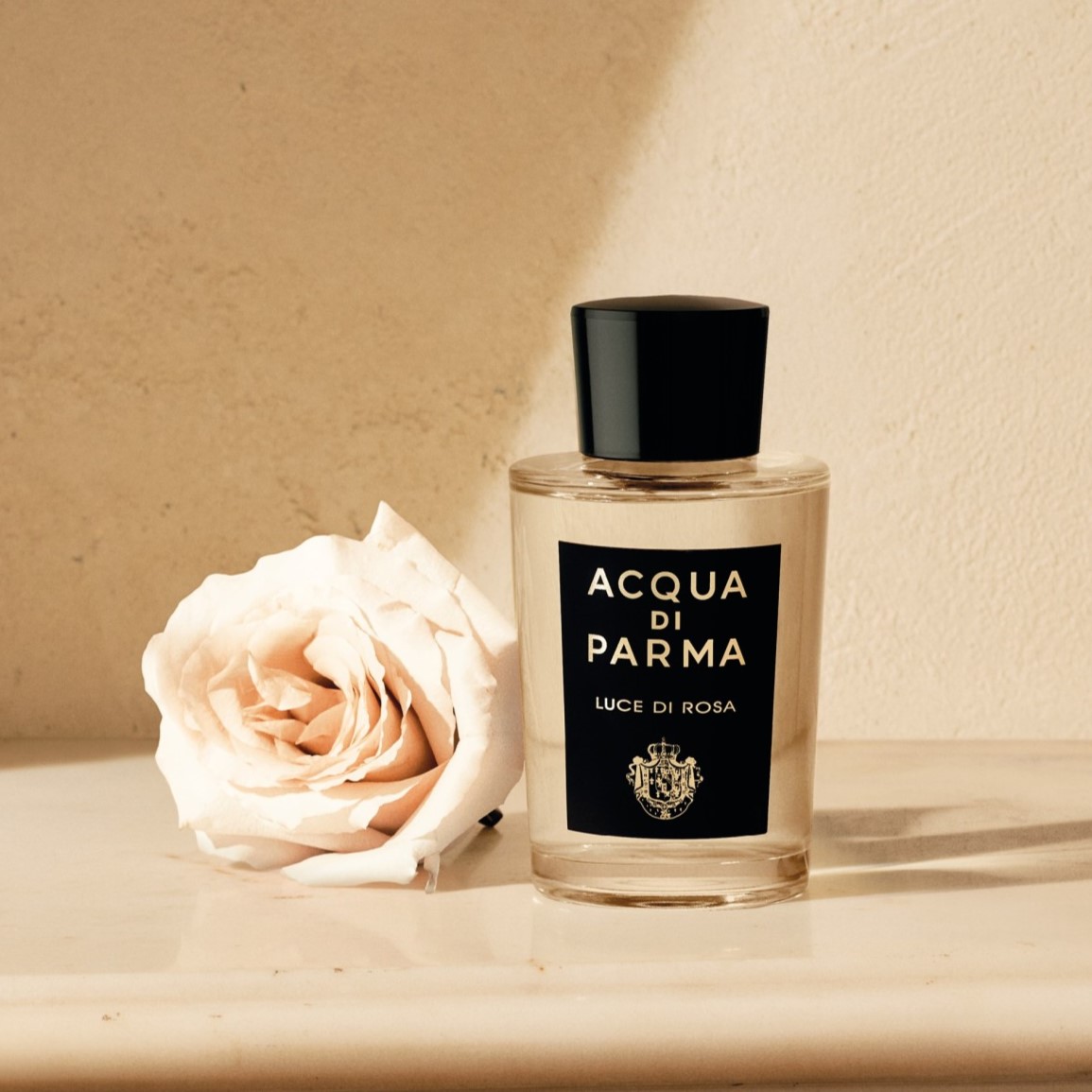 国内正規品】 ACQUA DI PARMA（アクアディパルマ） ローザ