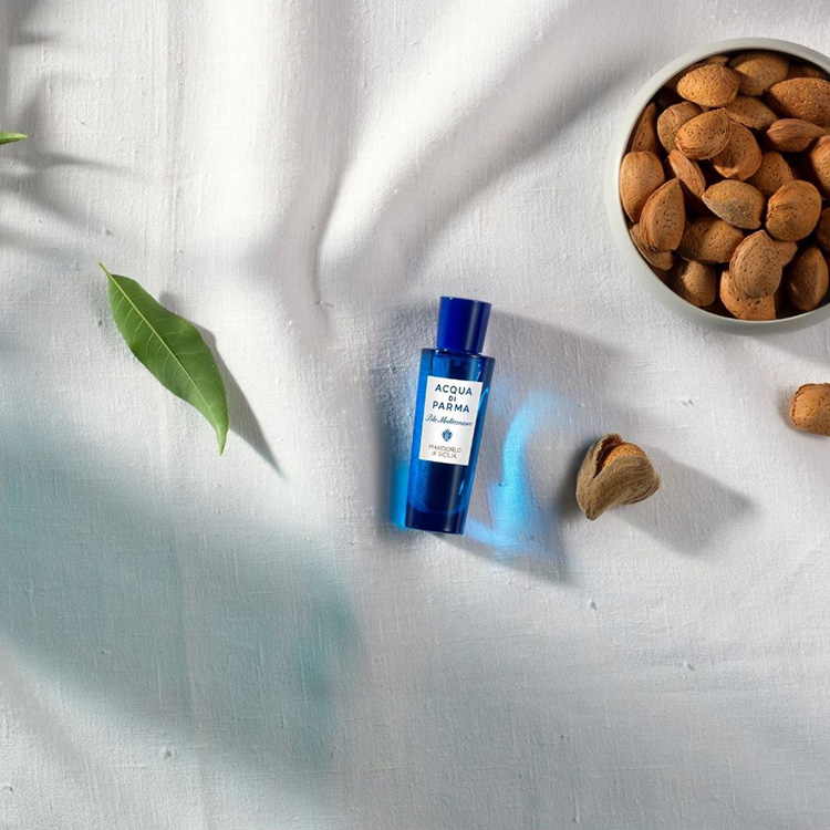 ACQUA DI PARMAiANA fB p}j̃Vbvj[Xu71eI2Buy|Cg20Ҍ{JnIv
