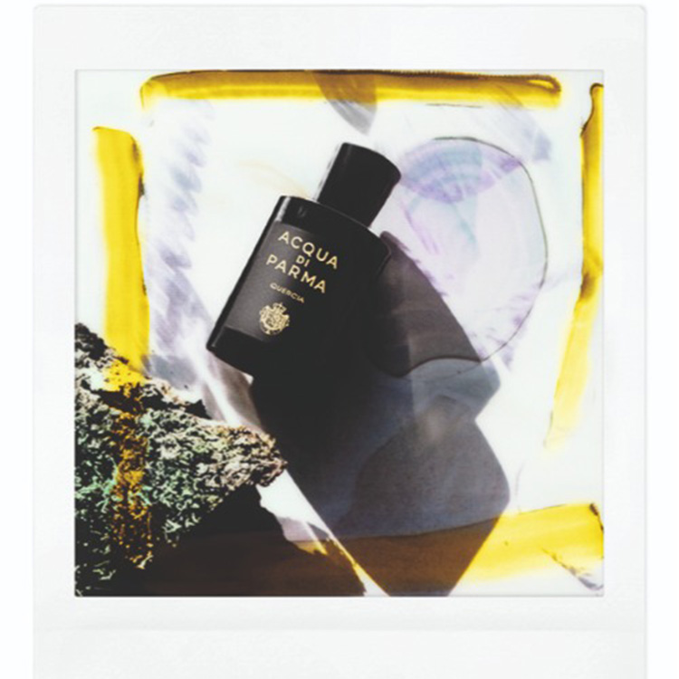 ACQUA DI PARMAiANA fB p}j̃Vbvj[XuyʃLy[zH~V|CgҌ{JnIv
