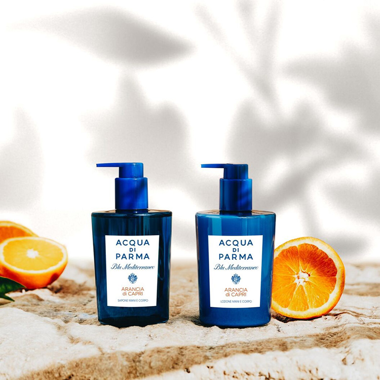 ACQUA DI PARMAiANA fB p}j̃Vbvj[Xu101eI2Buy|Cg20Ҍ{ŏIIv
