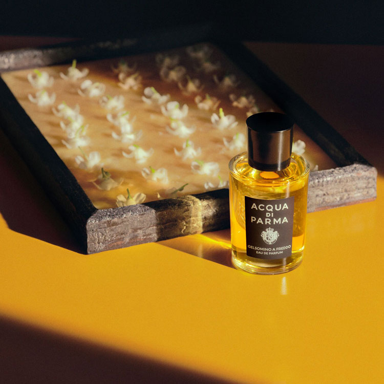 ACQUA DI PARMA ジェルソミーノ ノービレ オーデパルファン50ml ACQUA DI PARMA ジェルソミーノ ノービレ オーデパルファン50ml