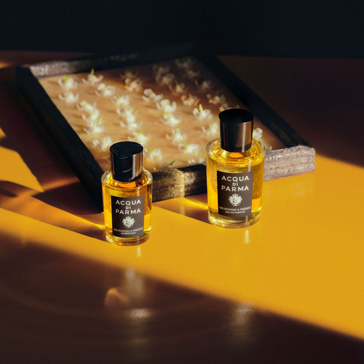 ACQUA DI PARMA｜アクア ディ パルマのトピックス「【PickUP