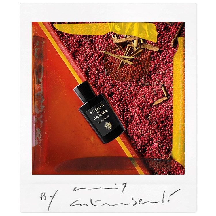 シグネチャーズ オブ ザ サン ジェルソミーノ ア フレッド オーデ