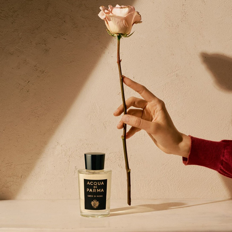 ACQUA DI PARMA�i�A�N�A �f�B �p���}�j�̃V���b�v�j���[�X�u�yPickUP�z�V�O�l�`���[�Y �I�u �U �T�� ���[�`�F �f�B ���[�U �I�[�f�p���t�@�� �v