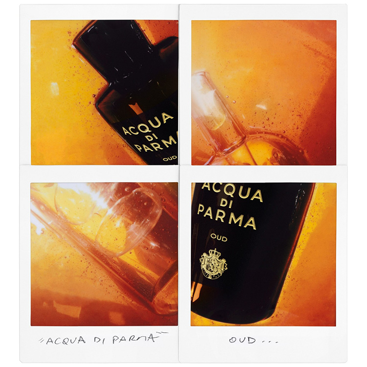 ACQUA DI PARMA�i�A�N�A �f�B �p���}�j�̃V���b�v�j���[�X�u5����1�e�I2Buy�|�C���g20���Ҍ����{���I�v