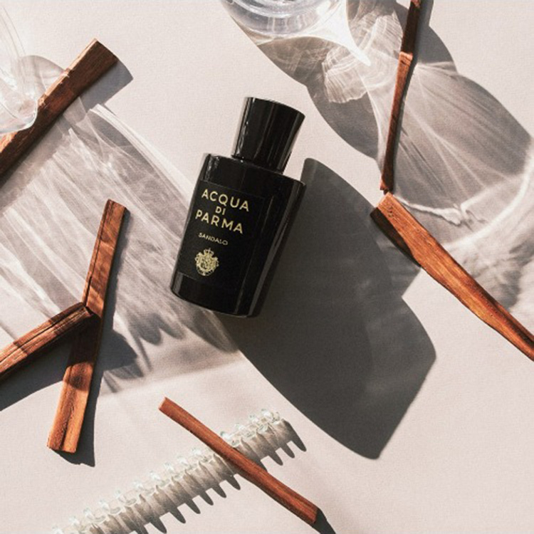ローザ ノービレ オーデパルファム 50mL（香水）｜ACQUA DI PARMA