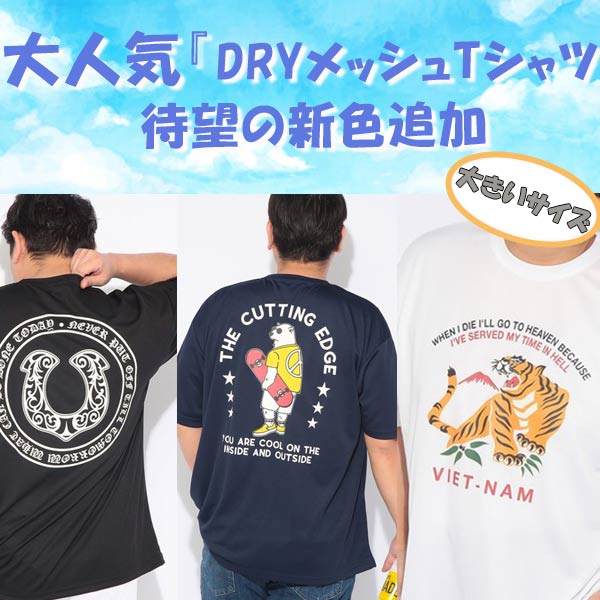 SAKAZEN�i�T�J�[���j�̃V���b�v�j���[�X�u����Ă܂��I�I���傫���T�C�Y���v