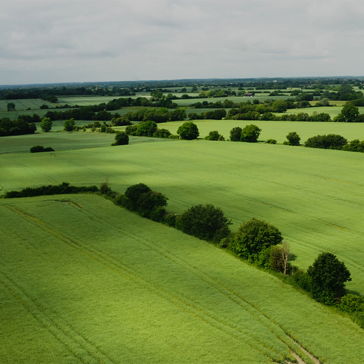 Lavenham�i���x���n���j�̃V���b�v�j���[�X�u�{������I�ꕔ�Z�[���Ώۏ��i�Ɏg���� 1,500�~�N�[�|���z�z���I�y ���x���n�� �z�v