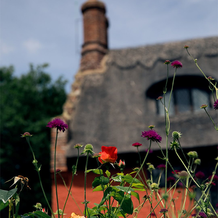 Lavenham�i���x���n���j�̃V���b�v�j���[�X�uUP TO 40% OFF�I�b2026�t�ăT�}�[�Z�[���J�Ò��I�y ���x���n�� / LAVENHAM �z�v