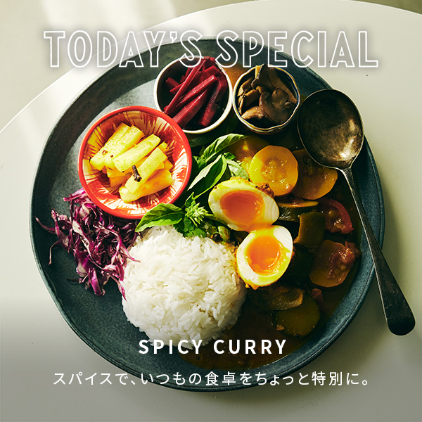 向山窯×TODAY'S SPECIAL】オーバルプレート M/345095（食器）｜TODAY'S
