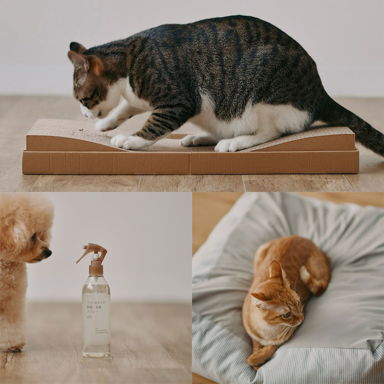 ����Ǖi�i���W���V�����E�q���j�̃V���b�v�j���[�X�u�y�Ƒ��Ƃ��낮�z����Ǖi�ň��S�̃y�b�g�p�A�C�e���v