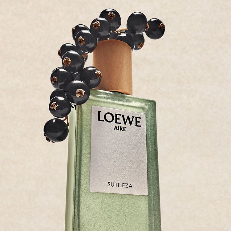 オードゥ パルファン ”ロエベ エセンシア”（50mL）（香水）｜LOEWE 