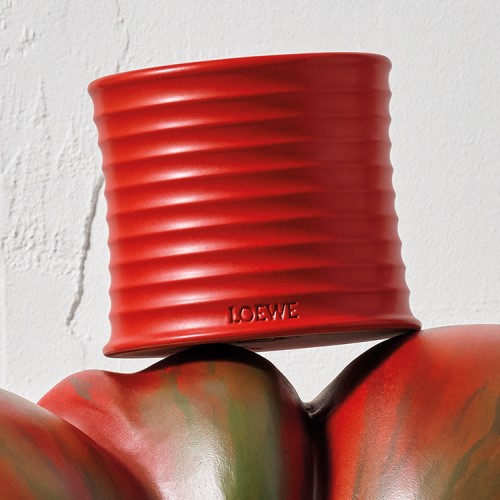 ロエベ キャンドル サイプレスボール S（キャンドル）｜LOEWE