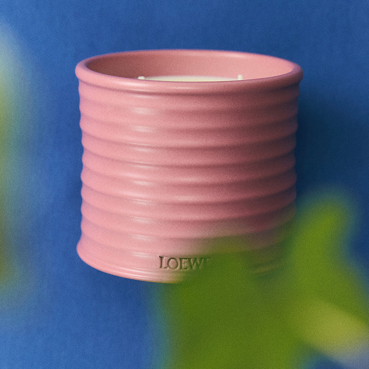 【新品未使用】LOEWE アロマキャンドル ピンク アイビー ロエベ アイビー キャンドル スモール ピンク - LOEWE