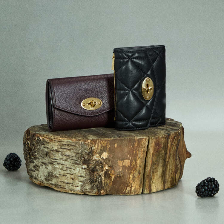 マルベリー プラーク スモール ジップアラウンド パース Mulberry