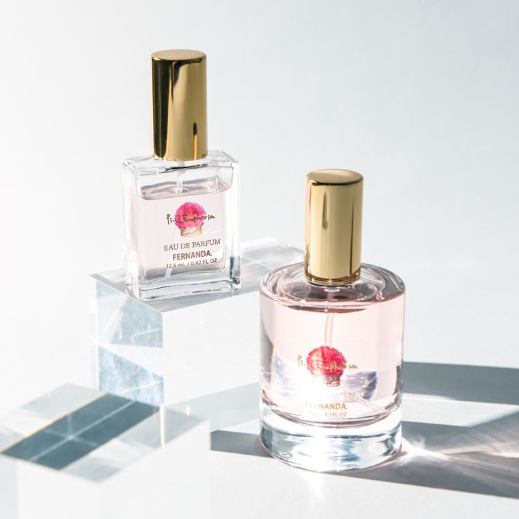 FERNANDAitFi_j̃Vbvj[XuYx[̊Î_ςLAÂDv