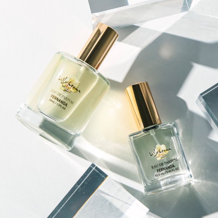 FERNANDA�i�t�F���i���_�j�̃V���b�v�j���[�X�u�₳�����Â��ɁA��i�Ȑ[�݂��L���鍁��v