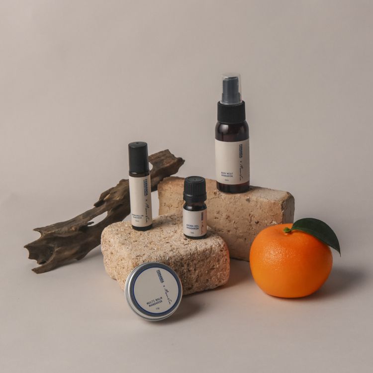 FERNANDA�i�t�F���i���_�j�̃V���b�v�j���[�X�u�₳�����Â��ɖ������A�}���_�����̍���v