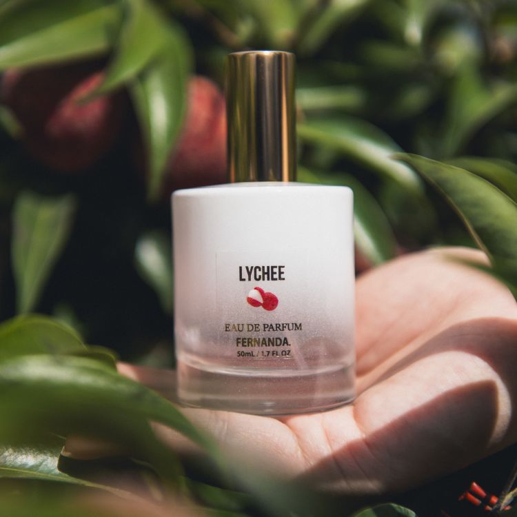 FERNANDA�i�t�F���i���_�j�̃V���b�v�j���[�X�u�yNEW�z�W���[�V�[�ȉʏ`���e����A���C�` �R���N�V�����v