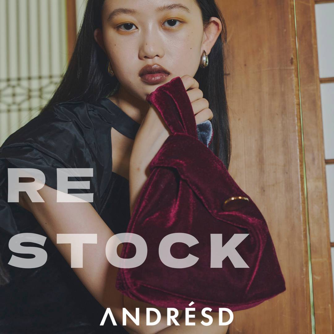セール】ベロアバッグ / velour bag（ハンドバッグ）｜ANDRESD