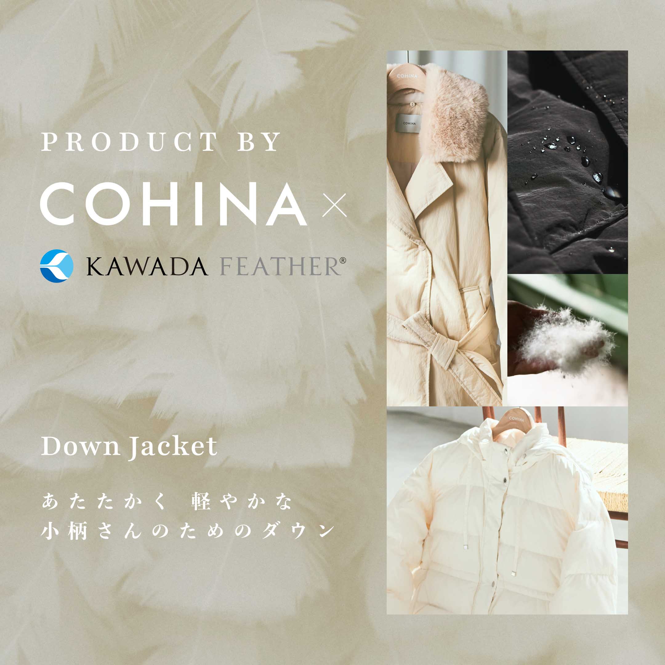 COHINA STOREiRqiXgAj̃Vbvj[XuyKAWADA FEATHERzy₩ ̂߂̃_EWPbgv
