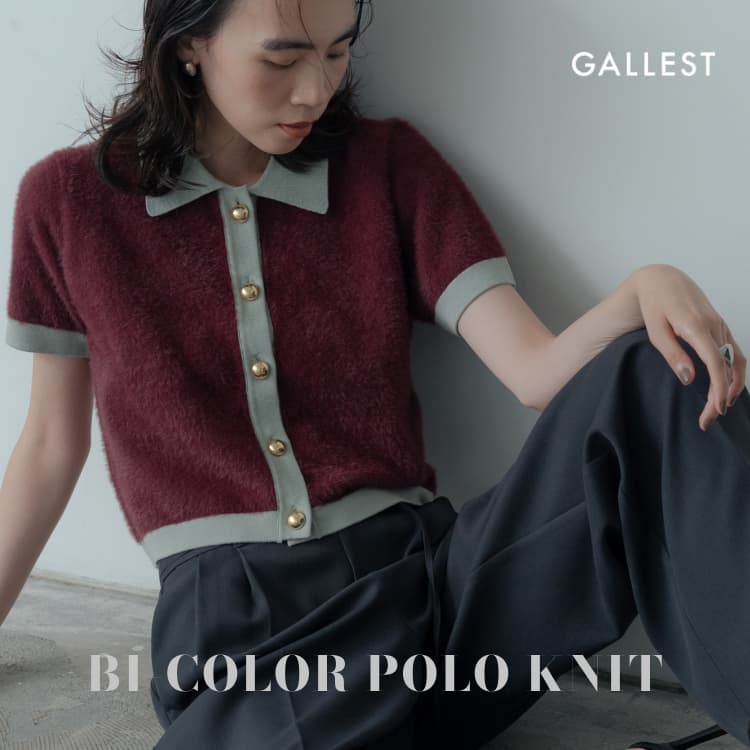 GALLESTiMXgj̃Vbvj[XuyGALLESTzlC̃oCJ[|jbgv