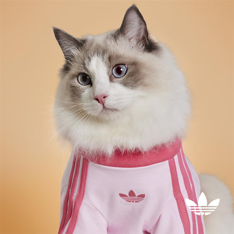 adidas�i�A�f�B�_�X�j�̃V���b�v�j���[�X�u�y�A�f�B�_�X�����z�y�b�g�A�p�����R���N�V�����v