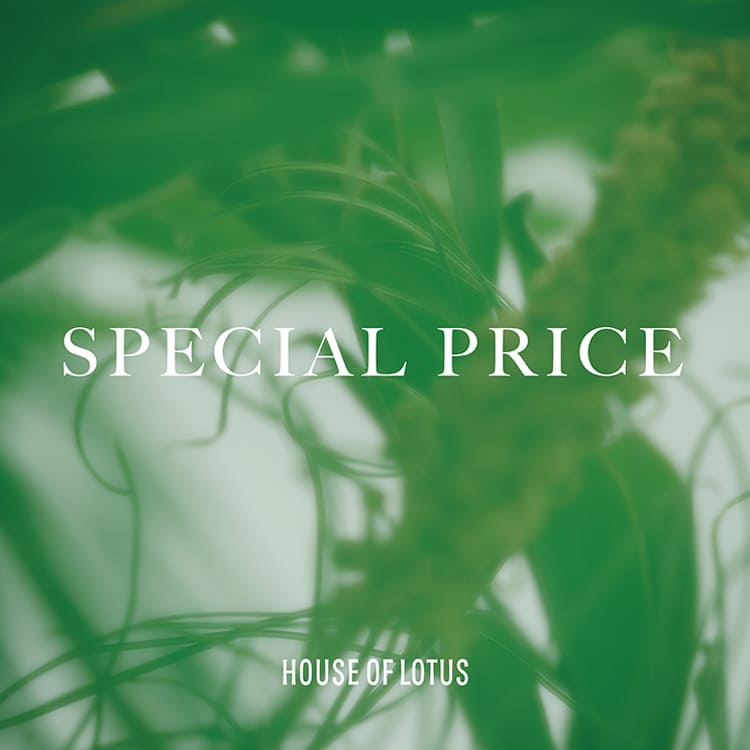 HOUSE OF LOTUSinEX Iu [^Xj̃Vbvj[XuyHOUSE OF LOTUSzSPECIAL PRICE!!v