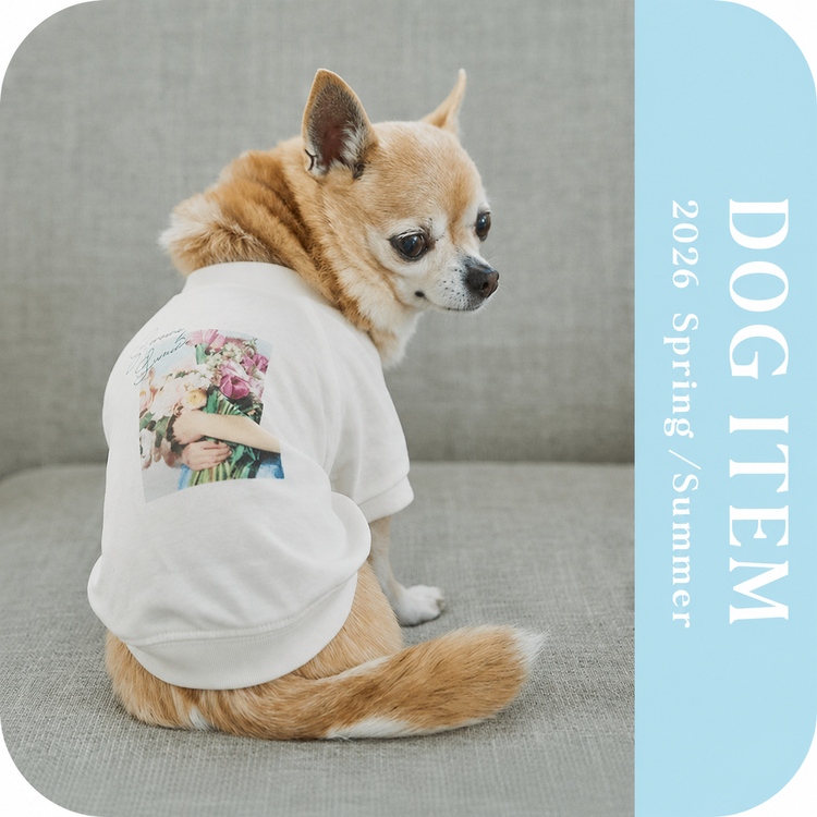 DOG】マルチストライプひんやりブランケット（ペットウェア）｜ROPE