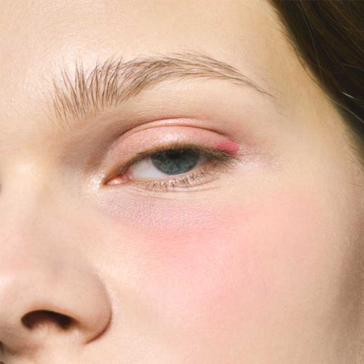 DIDION�i�f�B�f�B�I���j�̃V���b�v�j���[�X�u���K���`�[�N�����h�X�g���x���[�J���[�h�v