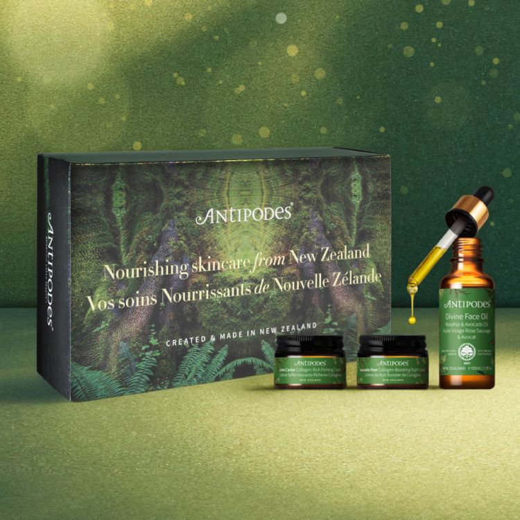 ANTIPODESiAeB|fB[Xj̃Vbvj[XuyANTIPODESzzf[Lbg GCWO GbZVYv