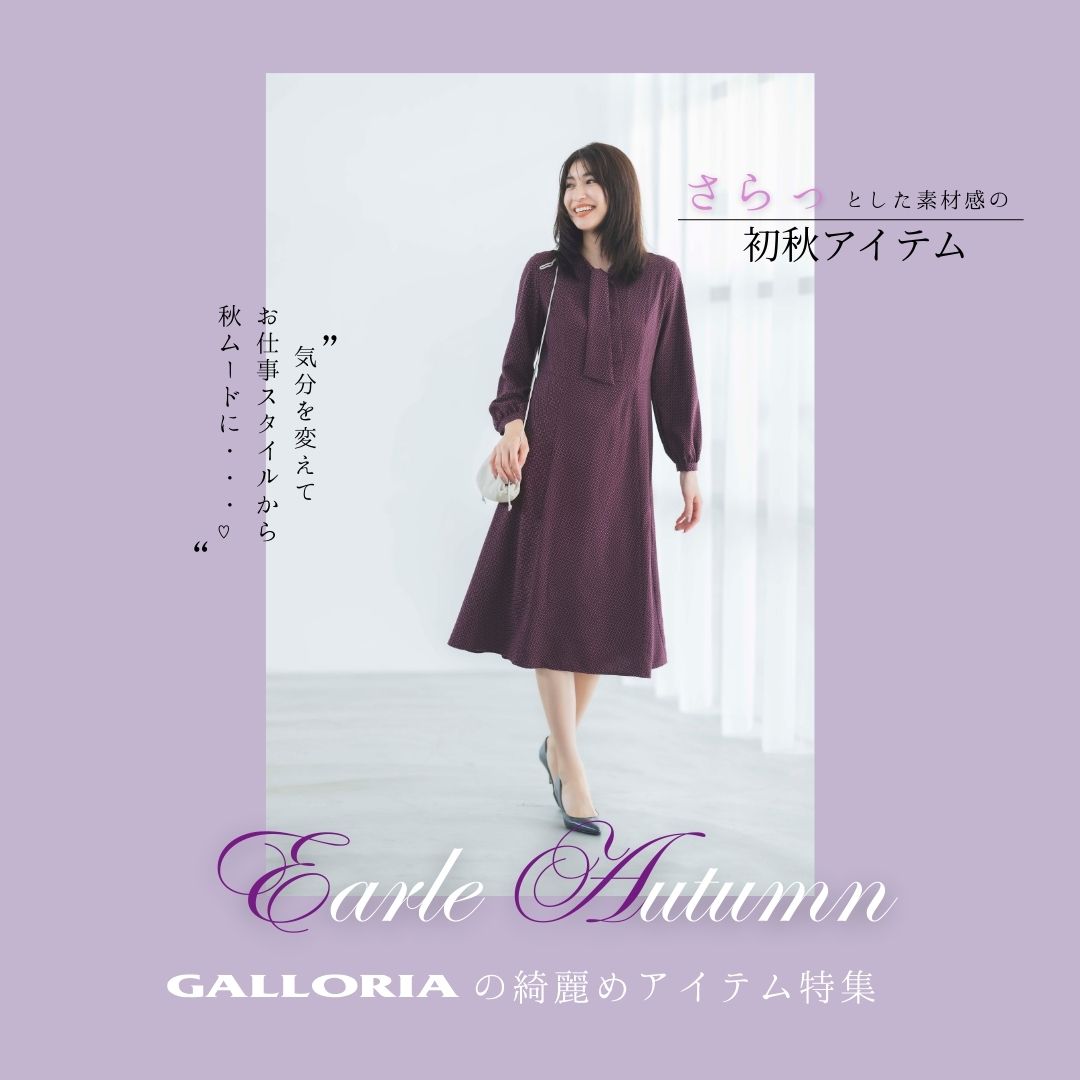 GALLORIAiM[Aj̃Vbvj[XuH ꂢ߃ACeWv
