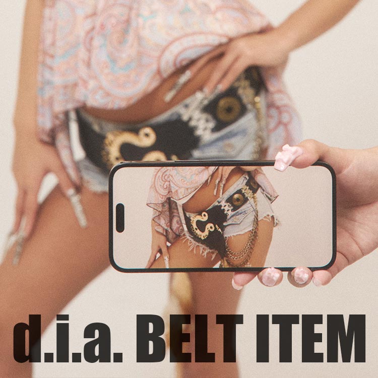 d.i.a.i_Cj̃Vbvj[Xuꂼd.i.a.̏؁hŋxghv
