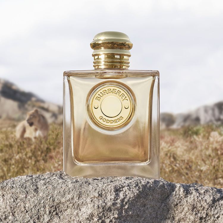 バーバリー ゴッデス オードパルファム 100mL（香水）｜Burberry