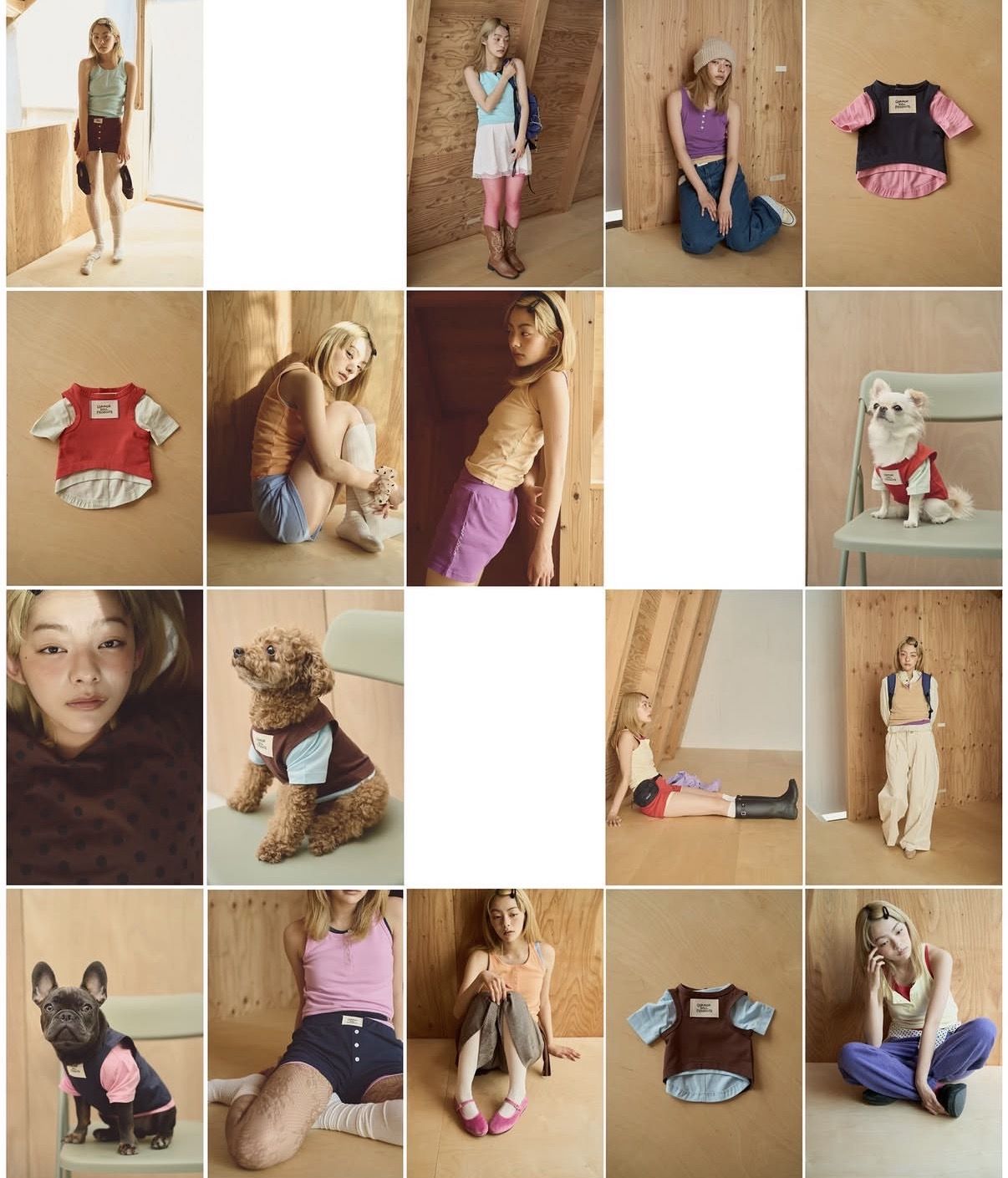common gull products.�i�R�����K���v���_�N�c�j�̃V���b�v�j���[�X�uGULL's new products will be on sale from 9pm�c��v