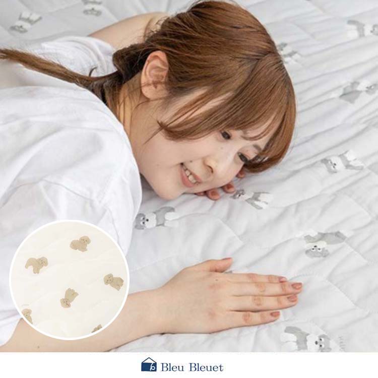 Bleu Bleuet�i�u���[�u���[�G�j�̃V���b�v�j���[�X�u�yBleu Bleuet�z�Ă̏������N�[���_�E�����Ă����t���X�R�⊴�~���p�b�h�v
