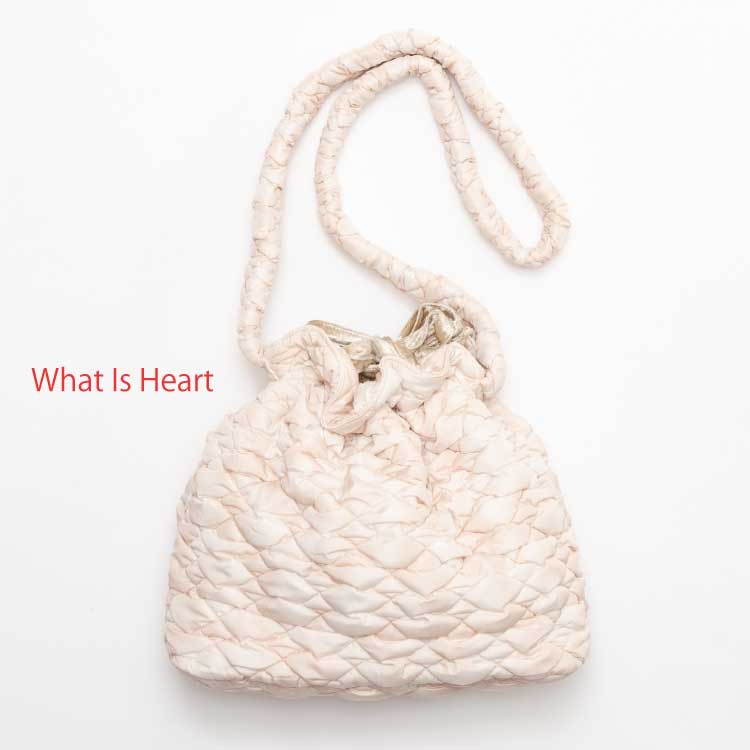 IF Div.iACGtfBrWj̃Vbvj[XuyWhat Is Heartz25 autumn / winter V삪ov