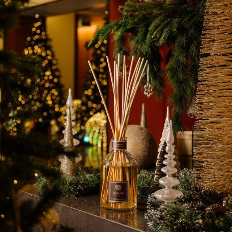 DR. VRANJES｜ドットール・ヴラニエスのトピックス「ホリデー限定