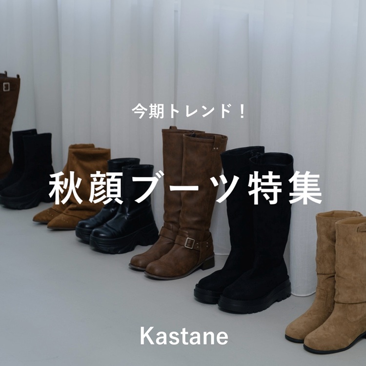 KastaneiJX^lj̃Vbvj[XuyPICK UPzGghIHɂȂu[cWv