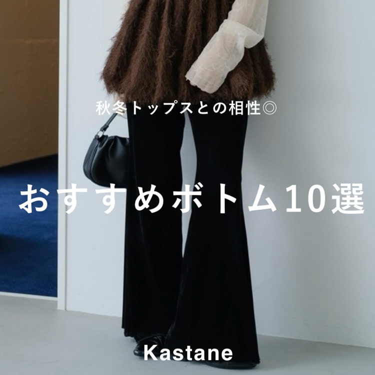 KastaneiJX^lj̃Vbvj[XuyPICK UPzH~gbvXƂ̑߃{gWv