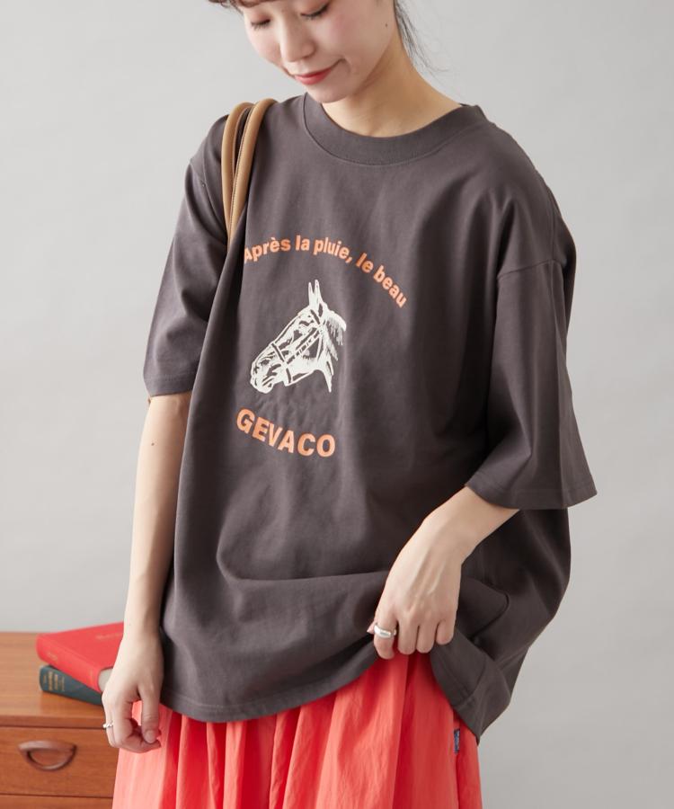 CIAOPANIC TYPY｜チャオパニックティピーのトピックス「GEVACO